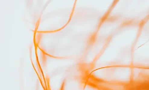 Grupa SPEED rozszerza swoją działalność dzięki DELMIA Ortems Production Scheduler