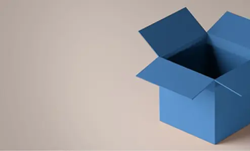 Out Of The Box Vs. Customized Solution Implementation Banner